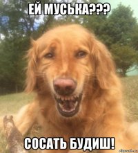 ей муська??? сосать будиш!