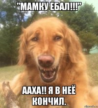 "мамку ебал!!!" ааха!! я в неё кончил.