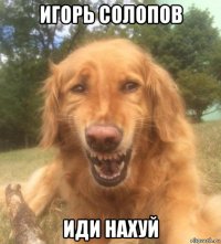 игорь солопов иди нахуй