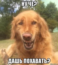 ну че? дашь похавать?