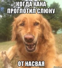 когда кана проглотил слюну от насвая