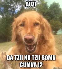 auzi da tzii nu tzii somn cumva !?