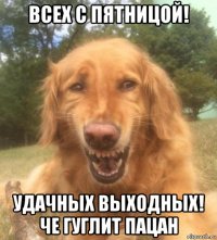 всех с пятницой! удачных выходных! че гуглит пацан