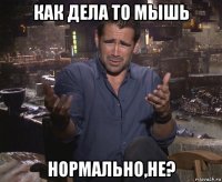 как дела то мышь нормально,не?