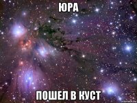 юра пошел в куст