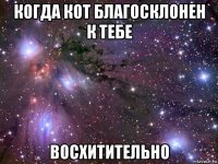 когда кот благосклонен к тебе восхитительно