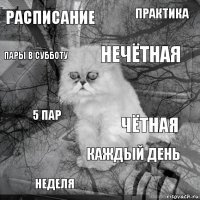 Расписание чётная нечётная неделя 5 пар Практика каждый день пары в субботу  