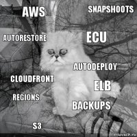 AWS ELB ECU S3 CloudFront Snapshoots Backups Autorestore Regions Autodeploy
