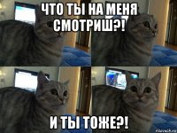 что ты на меня смотриш?! и ты тоже?!