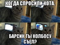 когда спросили кота. барсик ты колбосу съел?