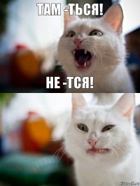 Там -ться! Не -тся!