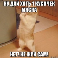 ну дай хоть 1 кусочек мяска нет! не жри сам!