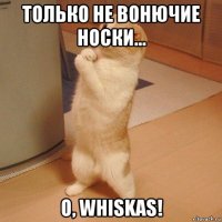 только не вонючие носки... о, whiskas!