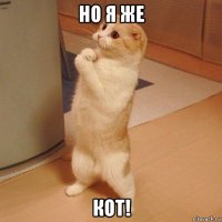 но я же кот!