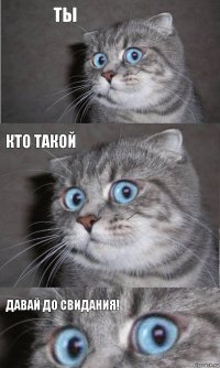 Ты кто такой Давай до свидания!