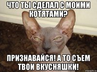 что ты сделал с моими котятами? признавайся! а то съем твои вкусняшки!