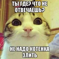 ты где? что не отвечаешь? не надо котенка злить