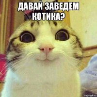 давай заведем котика? 