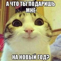 а что ты подаришь мне на новый год?