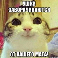 ушки заворачиваются от вашего мата!