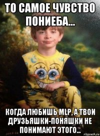 то самое чувство пониeба... когда любишь mlp, а твои друзьяшки-поняшки не понимают этого...