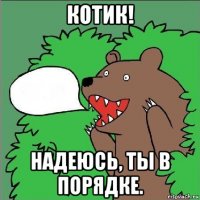 котик! надеюсь, ты в порядке.