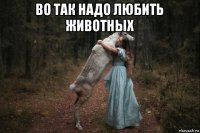 во так надо любить животных 