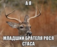 а я младший брателя рося стаса