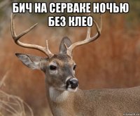 бич на серваке ночью без клео 