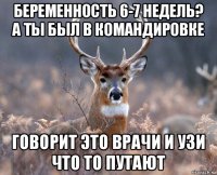 беременность 6-7 недель? а ты был в командировке говорит это врачи и узи что то путают