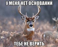 у меня нет оснований тебе не верить