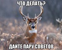 что делать? дайте пару советов