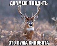 да умею я водить это лужа виновата