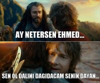 Ay netersen Ehmed... Sen ol dalini dagidacam senin dayan...