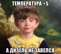 температура +5 а дизель не завелся