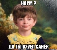 норм ? да ты охуел санёк