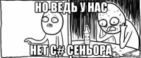 но ведь у нас нет c# сеньора