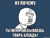 ну почему ты меня заебываешь, тварь блеадь!