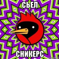 сьел сникерс