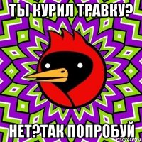 ты курил травку? нет?так попробуй