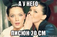 а у него писюн 20 см