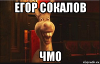 егор сокалов чмо