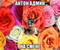 антон админ на смене