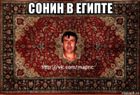 сонин в египте 