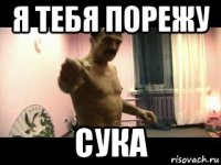 я тебя порежу сука