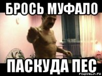 брось муфало паскуда пес