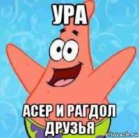 ура асер и рагдол друзья