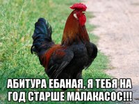  абитура ебаная, я тебя на год старше малакасос!!!