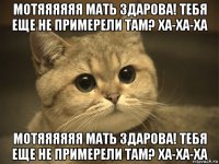 мотяяяяяя мать здарова! тебя еще не примерели там? ха-ха-ха мотяяяяяя мать здарова! тебя еще не примерели там? ха-ха-ха