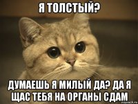 я толстый? думаешь я милый да? да я щас тебя на органы сдам